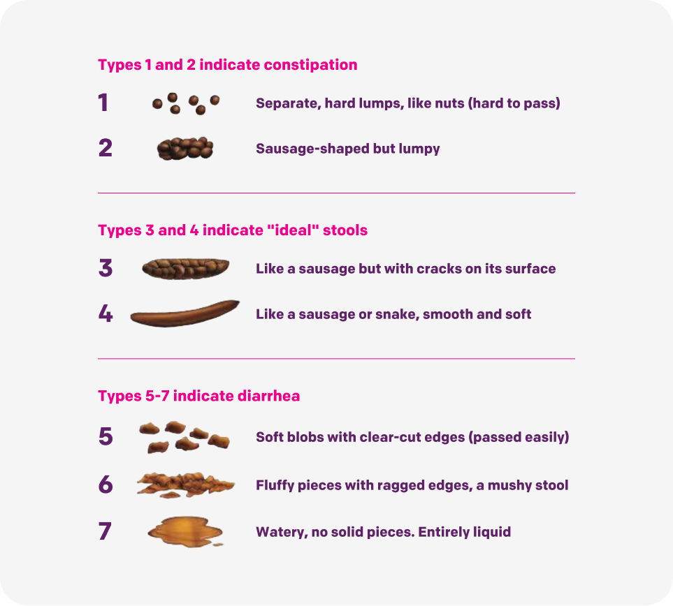 bristol_scale